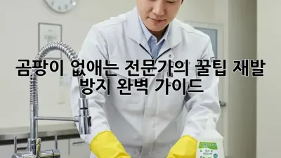 곰팡이 없애는 전문가의 꿀팁: 재발 방지 완벽 가이드